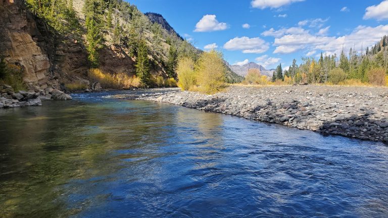 Patience: A Lesson I Didn’t Go Looking For